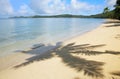 Sandy beach with palm tree shadows, Nananu-i-Ra island, Fiji Royalty Free Stock Photo