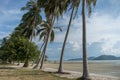 Sandy beach with palm trees on blue sky background with white clouds. Samui Royalty Free Stock Photo