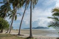 Sandy beach with palm trees on blue sky background with white clouds. Samui Royalty Free Stock Photo