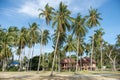 Sandy beach with palm trees on blue sky background with white clouds. Samui Royalty Free Stock Photo