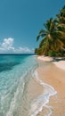 Sandy Beach With Palm Trees and Clear Blue Water Royalty Free Stock Photo