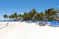 Sandy Beach and Palm Trees