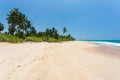 Sandy beach with palm trees Royalty Free Stock Photo