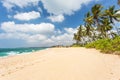 Sandy beach with palm trees Royalty Free Stock Photo