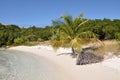 Beach at vacation resort of Antigua, Carribean Royalty Free Stock Photo