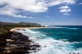 Sandy Beach Park, Oahu Royalty Free Stock Photo