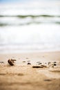 Sandy Beach, Pebbles and Sea on the Background Royalty Free Stock Photo