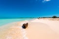 Sandy beach Playa Paradise of the island of Cayo Largo, Cuba. Copy space for text. Royalty Free Stock Photo