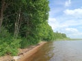 Rekyva lake and forest