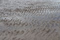 sandy beach with ripple marks at low tide Royalty Free Stock Photo