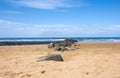 Sandy beach with rocks by the surf