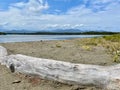 Sandy beach at salt lake Etang de Diana with mountains in the background. Aleria, Corsica, France.