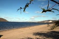 Sandy beach in Samara, Russia