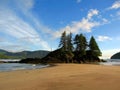 Sandy Beach at San Josef Bay in Evening Light, Cape Scott Provincial Park, Vancouver Island, British Columbia, Canada Royalty Free Stock Photo