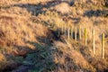 Sandy beach at Sandscale Haws Royalty Free Stock Photo