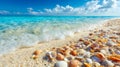 Sandy beach with scattered shells under a bright blue sky azure Royalty Free Stock Photo