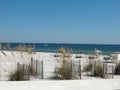 Sandy Beach Scene, Orange Beach, Alabama Royalty Free Stock Photo