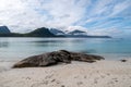 Sandy beach with stone and mountains, Lofoten, Norway
