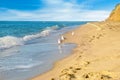 Sandy beach, seagulls, sea, and blue sky. Royalty Free Stock Photo