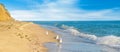 Sandy beach, seagulls, sea, and blue sky. Wide photo Royalty Free Stock Photo