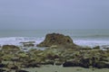 Sandy Beach with Seaweed Rocks Royalty Free Stock Photo