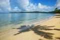 Sandy beach with a shadow of a palm tree, Nananu-i-Ra island, Fiji Royalty Free Stock Photo