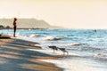 Sandy beach shoreline at Black Sea coast with seagulls drinking water at sunset by Anapa resort