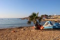 A sandy beach with a small palm tree and a catamaran. Ayia Napa. Cyprus Royalty Free Stock Photo