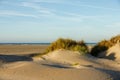 Sandy beach with solitary dunes overgrown with marram grass at IJmuiden in the Netherlands Royalty Free Stock Photo