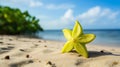 Youthful Energy: Green Starfish On Sandy Beach Royalty Free Stock Photo