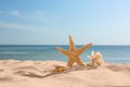 Sandy beach with starfish, shell and coral near sea on sunny summer day