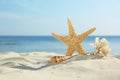 Sandy beach with starfish, shell and coral near sea on sunny summer day Royalty Free Stock Photo
