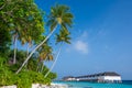 Sandy beach with stones and forest. Above the sea is a row of tropical houses Royalty Free Stock Photo