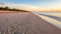 Sunrise featuring scattered shells along the shoreline. Calm Royalty Free Stock Photo