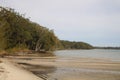 Sandy Beach at Tanilba Bay with coastal forest growing down to the water\'s edge Royalty Free Stock Photo