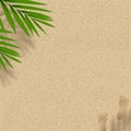 Sandy Beach Texture background with Coconut Palm leaves shadow and Footprints,Vector horizon Backdrop background with barefoot and Royalty Free Stock Photo