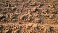Sandy Beach Texture Close-up Detail Generative AI Royalty Free Stock Photo