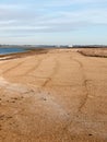 sandy beach texture dunes coast nature reserve plain background Royalty Free Stock Photo