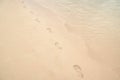 Sandy beach texture with human steps sand a small wave Royalty Free Stock Photo