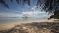 Sandy beach with trees