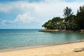 Sandy beach with trees and ocean in the distance