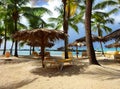 Sandy beach of Trinidad Island with palm umbrellas and empty yellow trestle-beds Royalty Free Stock Photo