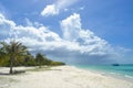 Sandy beach on a tropical island. Beautiful view with ocean and sky on sunny day Royalty Free Stock Photo