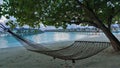 On the sandy beach, under the shade of a tree, there is a net hammock.