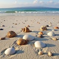 Sandy beach with various colors and textures, including conical and scal Royalty Free Stock Photo