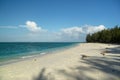 sandy beach with vegetation on turquoise sea and blue sky with clouds background Royalty Free Stock Photo