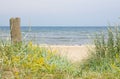 Sandy beach and vegetation,