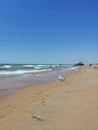 Sandy beach, waves, seagulls, in the distance the building Royalty Free Stock Photo