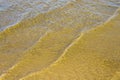 Sandy bottom of a river shot on a sunny spring day. Background for clear water Royalty Free Stock Photo