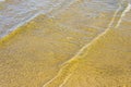 Sandy bottom of a river shot on a sunny spring day. Background for clear water Royalty Free Stock Photo